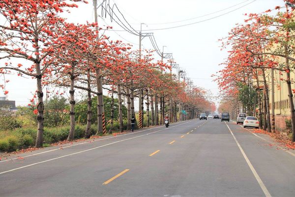 木棉花道： 【台南景點】將軍漚汪木棉花道，火辣辣的火紅時刻，來感受陷入紅色花海的浪漫景色，享受眼前最棒的微醺美景吧