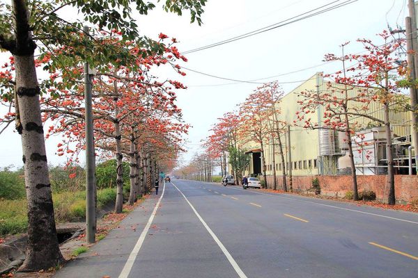 木棉花道： 【台南景點】將軍漚汪木棉花道，火辣辣的火紅時刻，來感受陷入紅色花海的浪漫景色，享受眼前最棒的微醺美景吧