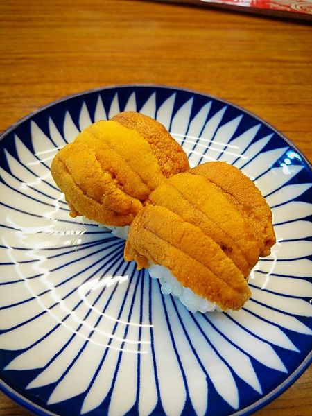 17553479_1448519191846432_3491548296671588529_n