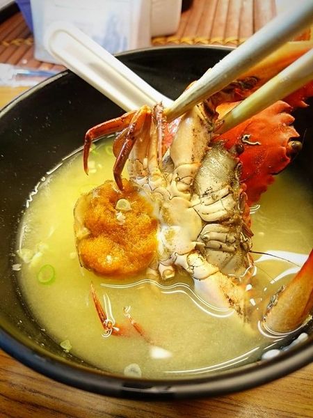 17626651_1448518921846459_9004540839987713173_n