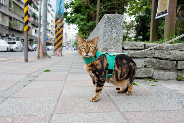 DSCF1920.JPG DSCF1920.JPG