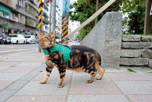 DSCF1922.JPG DSCF1922.JPG