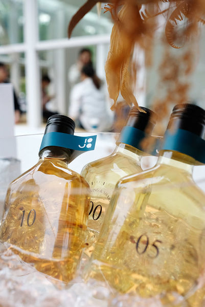 DSCF1916.JPG DSCF1916.JPG