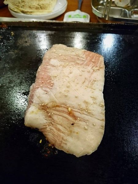 17553409_1448923445139340_927477942282127683_n