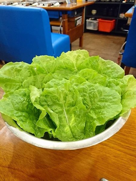 17630023_1448923338472684_8304581296310752317_n