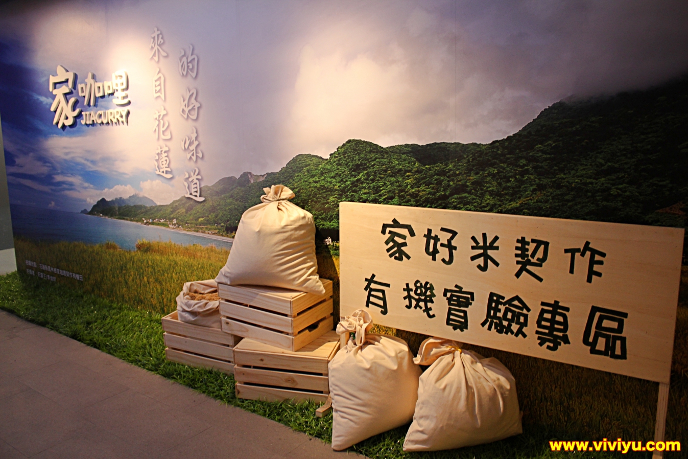 [桃園．美食]家咖哩～超高人氣咖哩專賣店．使用花蓮在地無毒有機食材(文末送出好禮)