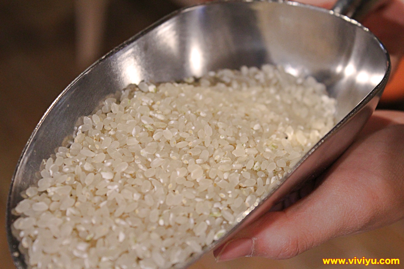 [桃園．美食]家咖哩～超高人氣咖哩專賣店．使用花蓮在地無毒有機食材(文末送出好禮)