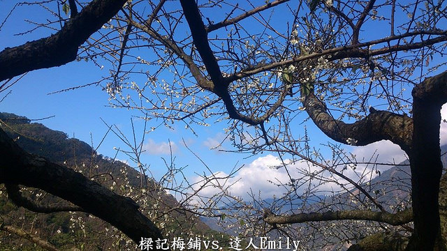 1528612_762487110431493_230989120_n