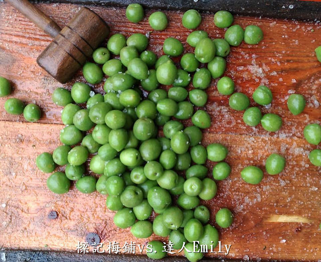 17308767_1487777191235012_6550828139599939615_n