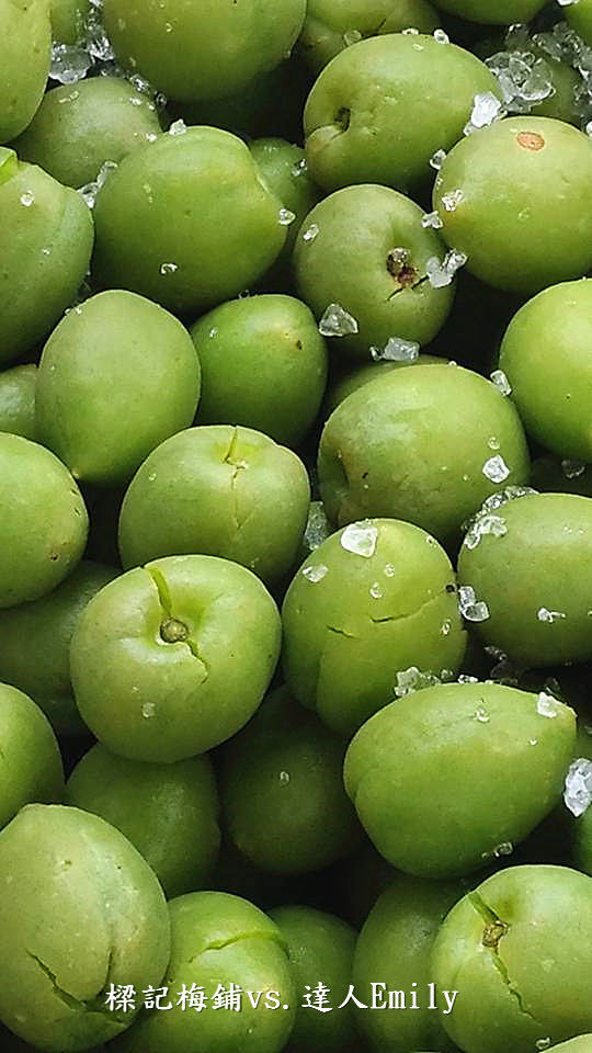 17352086_1487777141235017_2038679691378227518_n