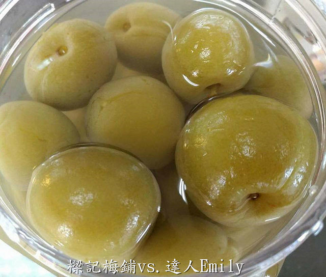 17523299_1489149171097814_8221181681800152518_n