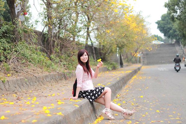 嘉義中埔農會黃風鈴花:【嘉義景點】中埔農會和美辦事處黃風鈴花~季節限定的黃金地毯,黃色花朵隨風搖曳而灑落,旅人輕輕地漫步在黃風鈴樹下,盡情享受這最浪漫的黃金雨