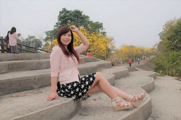 嘉義中埔農會黃風鈴花:【嘉義景點】中埔農會和美辦事處黃風鈴花~季節限定的黃金地毯,黃色花朵隨風搖曳而灑落,旅人輕輕地漫步在黃風鈴樹下,盡情享受這最浪漫的黃金雨