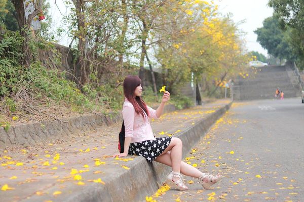 嘉義中埔農會黃風鈴花:【嘉義景點】中埔農會和美辦事處黃風鈴花~季節限定的黃金地毯,黃色花朵隨風搖曳而灑落,旅人輕輕地漫步在黃風鈴樹下,盡情享受這最浪漫的黃金雨