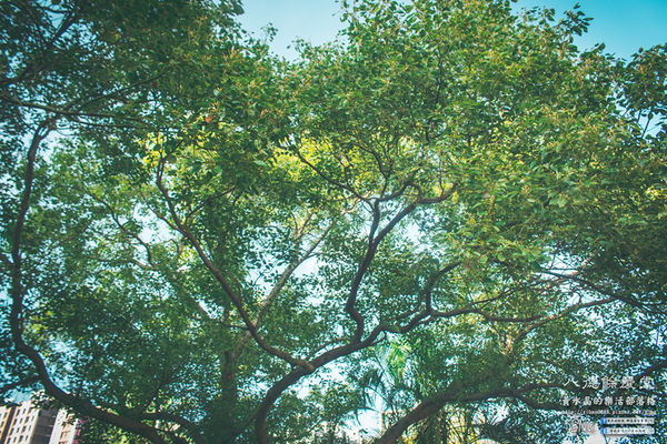 八德餘慶堂【邱氏宗祠】|桃園八德日式歷史建築景點;你所不知道的八德,“日本神風特攻隊”醫護隊長駐所/八塊厝飛行場/八德神秘飛機橋。