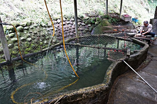 阮家莊土雞 2 阮家莊土雞 2