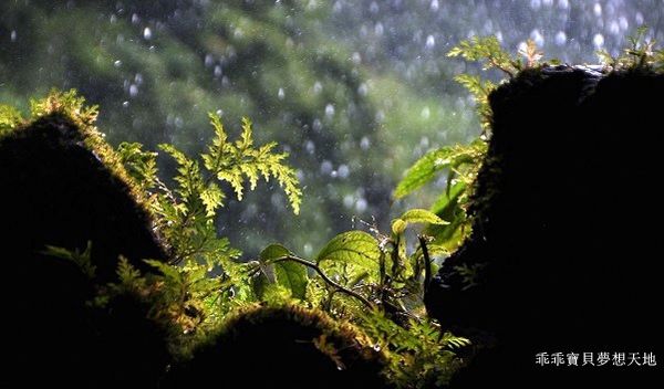 銀河洞-31.JPG 銀河洞-31.JPG