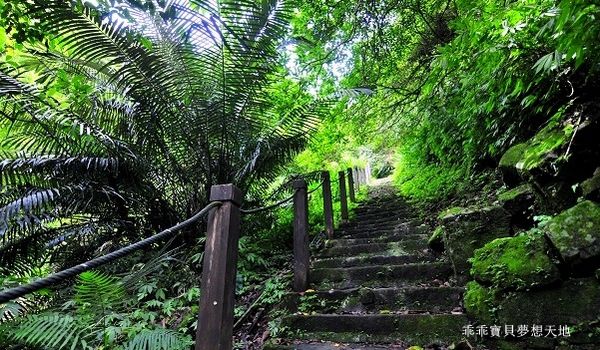 銀河洞-9.JPG 銀河洞-9.JPG