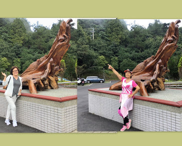 大雪山遊客中心-漂流木雕刻展