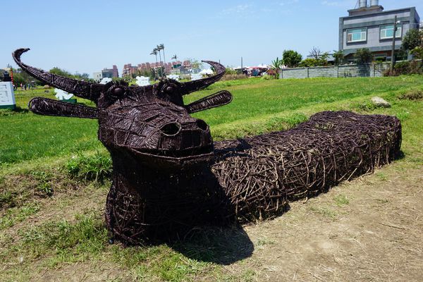 桃園彩色海芋季15