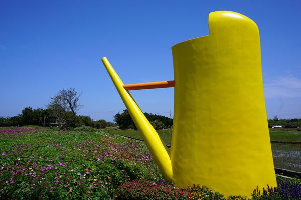 桃園彩色海芋季14