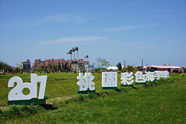 桃園彩色海芋季9
