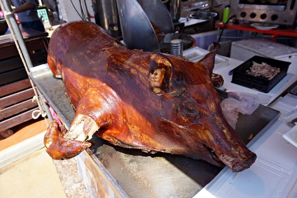 桃園彩色海芋季18