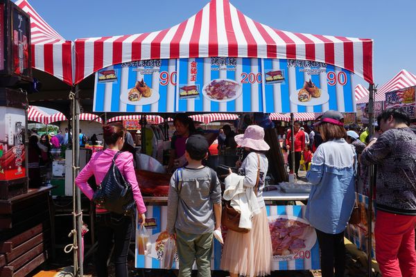 桃園彩色海芋季19