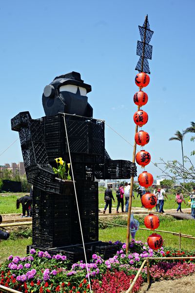 桃園彩色海芋季17