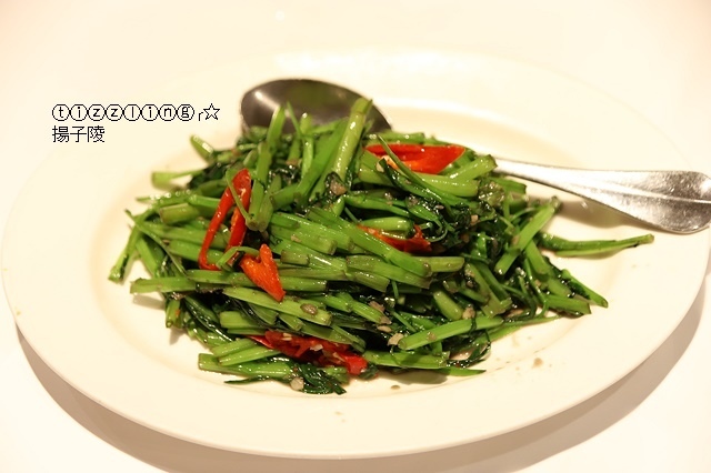 IMG_6561.JPG IMG_6561.JPG