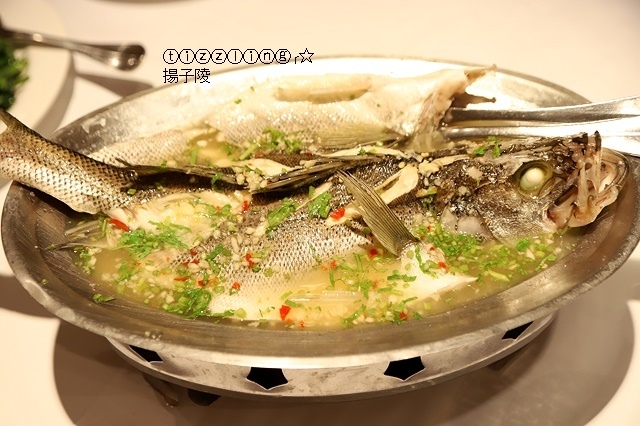 IMG_6572.JPG IMG_6572.JPG