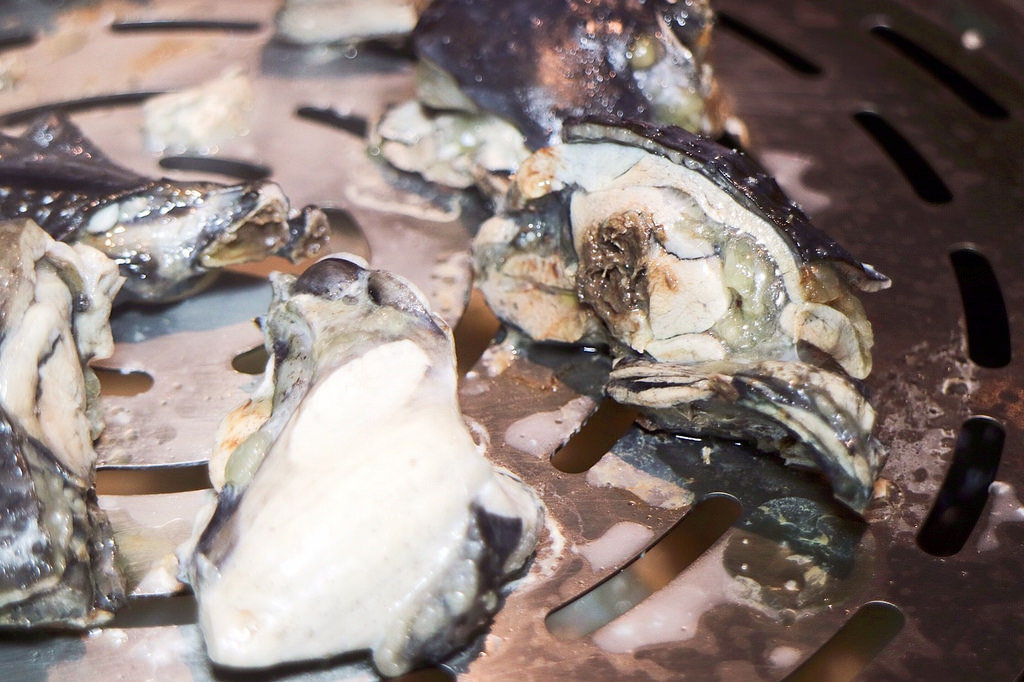 20170829_170831_0028