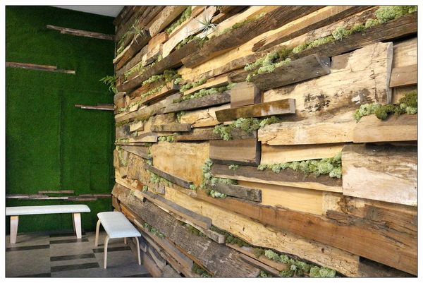 _MG_1695.JPG _MG_1695.JPG