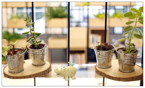 _MG_1711.JPG _MG_1711.JPG