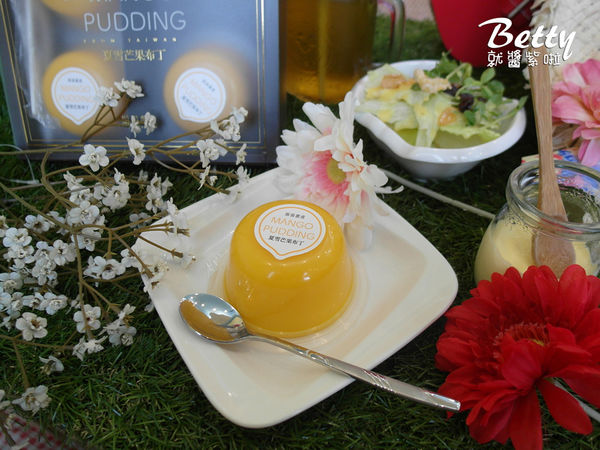 夏雪芒果布丁 (13).jpg