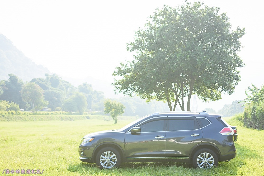 嘉義番路鄉景點》阿里山18號愛情絲路 愛情大草原 情人約會景點 花牆拍美照兼吃旺萊山鳳梨酥 - 滿分的旅遊札記