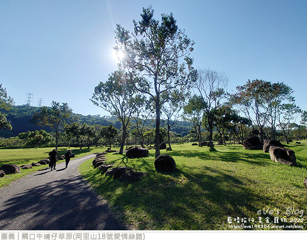 牛仔埔草原-11.jpg
