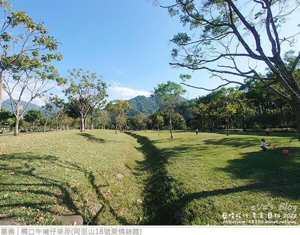 牛仔埔草原-14.jpg