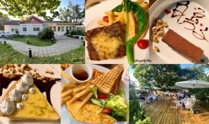 MEAT LOVE │台北美食•全程代烤的美味韓式炭火燒肉！