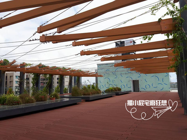 【高雄一日遊】騎噗噗輕鬆遊高雄-IG打卡勝地集盒、新地標圖書總館、在地好味老江紅茶牛乳、新鮮水果冰棒佐棧冰舖