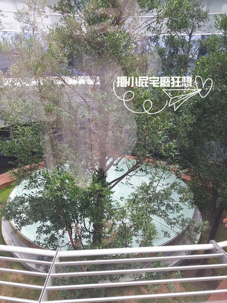 【高雄一日遊】騎噗噗輕鬆遊高雄-IG打卡勝地集盒、新地標圖書總館、在地好味老江紅茶牛乳、新鮮水果冰棒佐棧冰舖