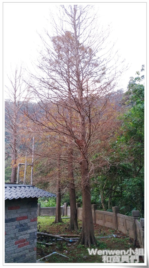 2017.01.22.貴子坑水土保持教學園區 (23).jpg