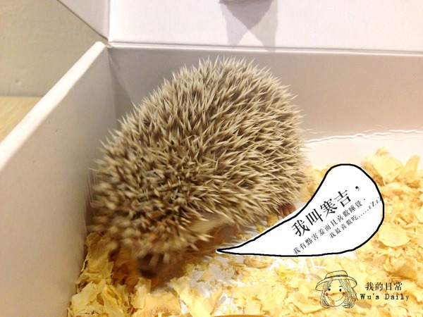 Han's Café 寒咖啡：├吃喝┤Han's Café 寒咖啡-銀河的起源來自於濃縮與牛奶的大爆炸