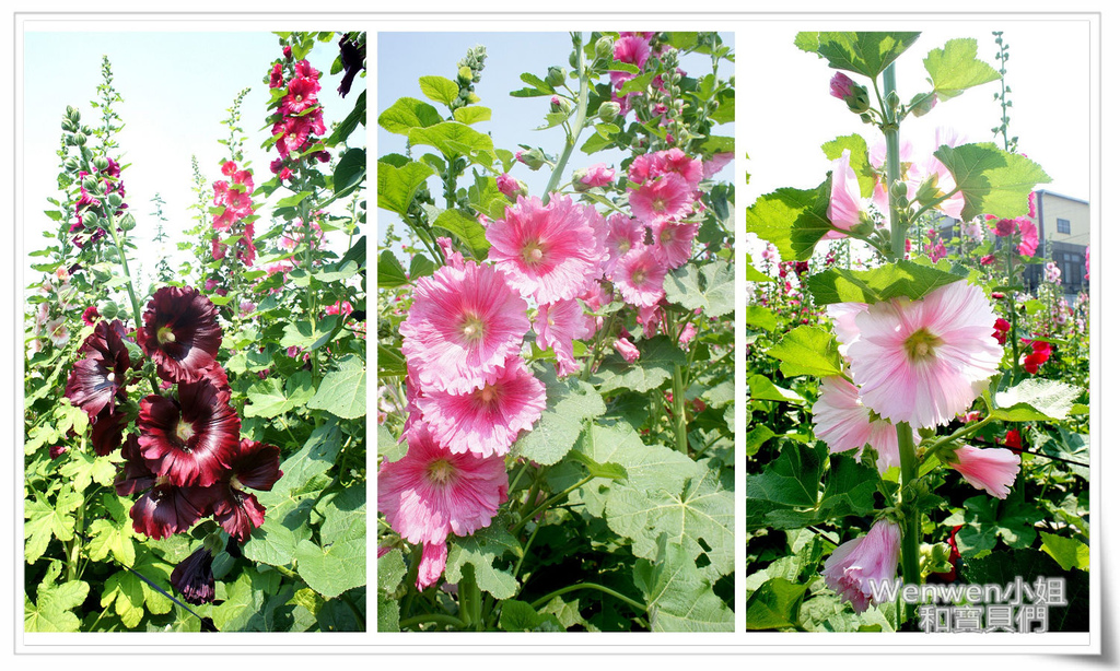 2017.04.03 彰化琉璃仙境 (28).JPG 2017.04.03 彰化琉璃仙境 (28).JPG