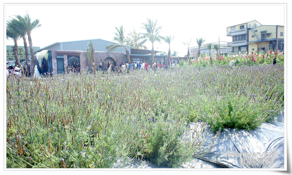 2017.04.03 彰化琉璃仙境 (30).JPG 2017.04.03 彰化琉璃仙境 (30).JPG