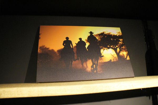 1061001-野牛牛排-49