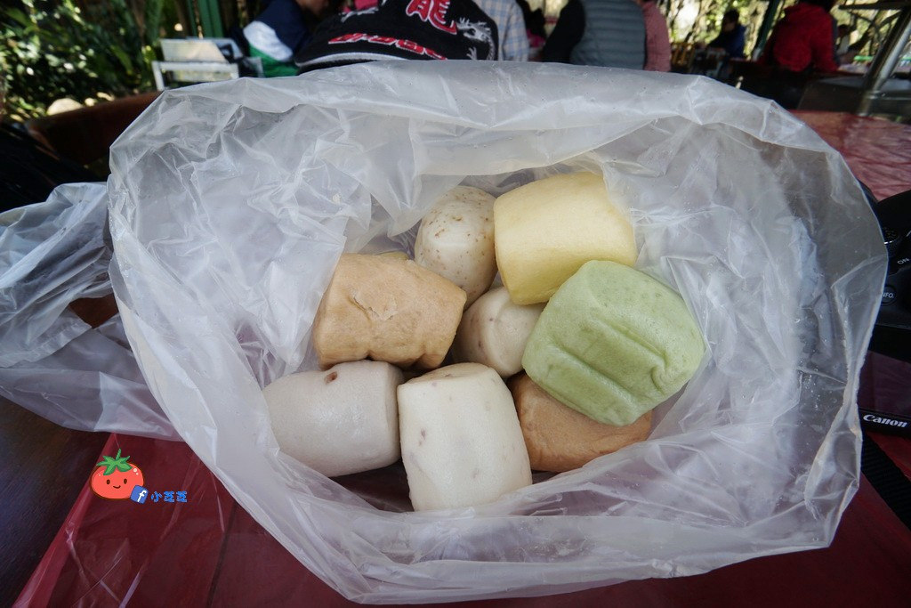 陽明山竹子湖 海芋 苗榜