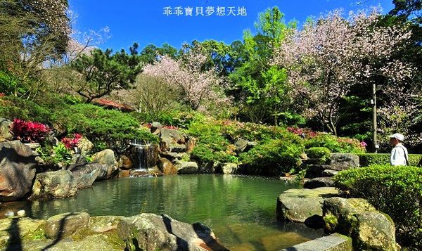 三板橋民宅櫻花園-20.JPG 三板橋民宅櫻花園-20.JPG