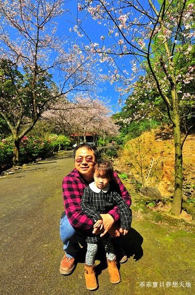 三板橋民宅櫻花園-18.JPG 三板橋民宅櫻花園-18.JPG