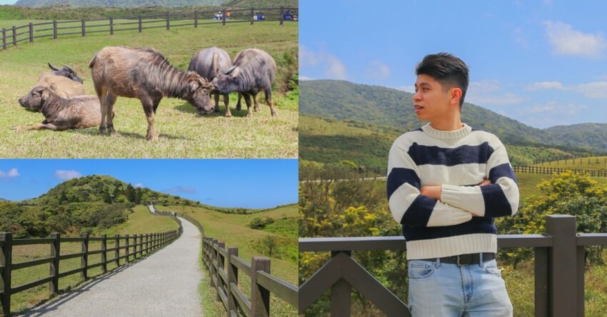 【台北北投景點】北投一日遊9大景點，散步綠蔭古蹟建築，溫泉美食的療癒之旅！